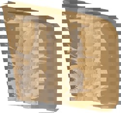 Clear Oil Exuding Strippable Plastic Coa